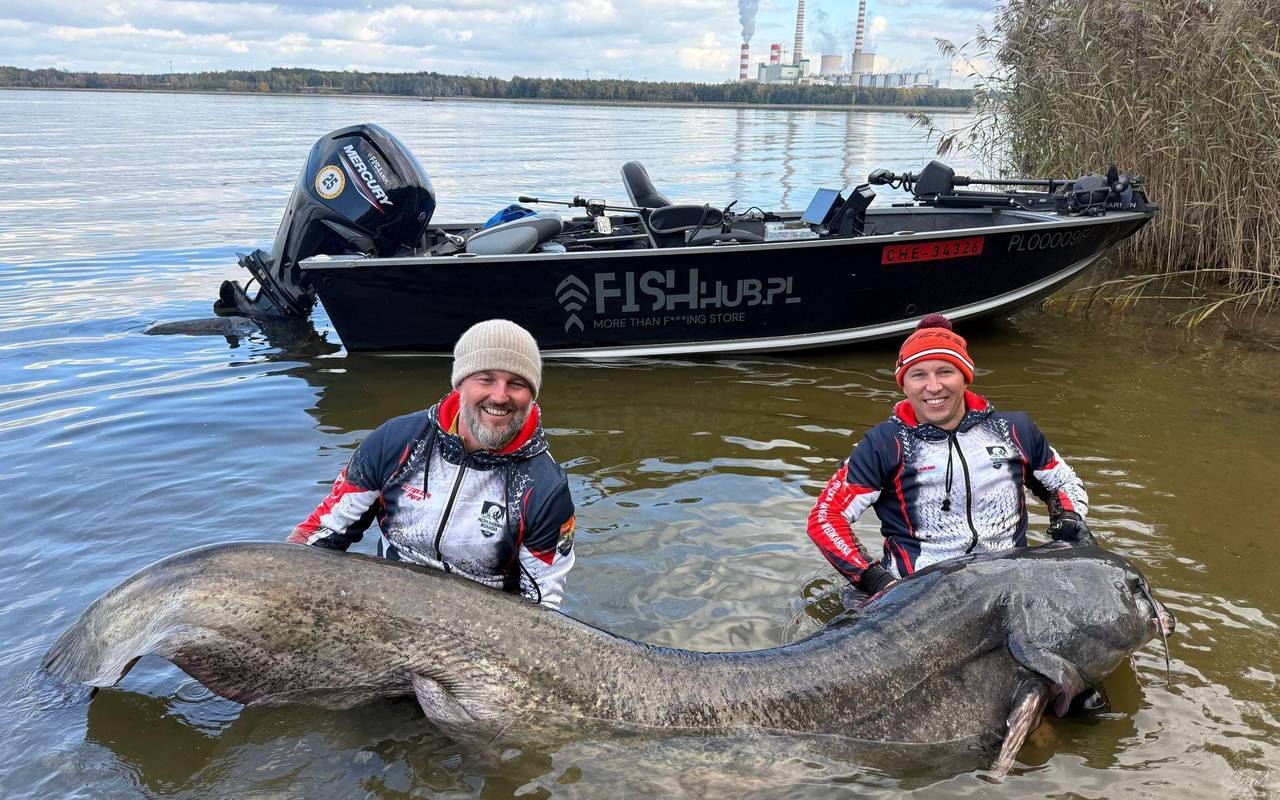 Riesiger Wels in Polen gefangen