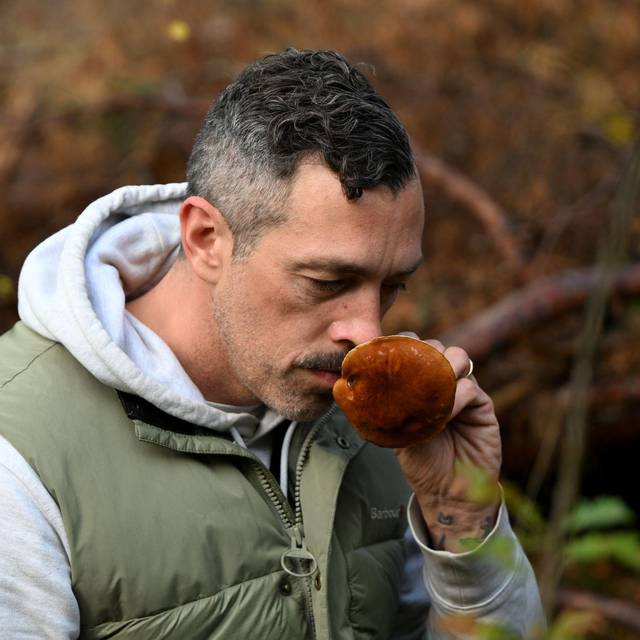 Mit einem Pilz-Influencer in den Pilzen