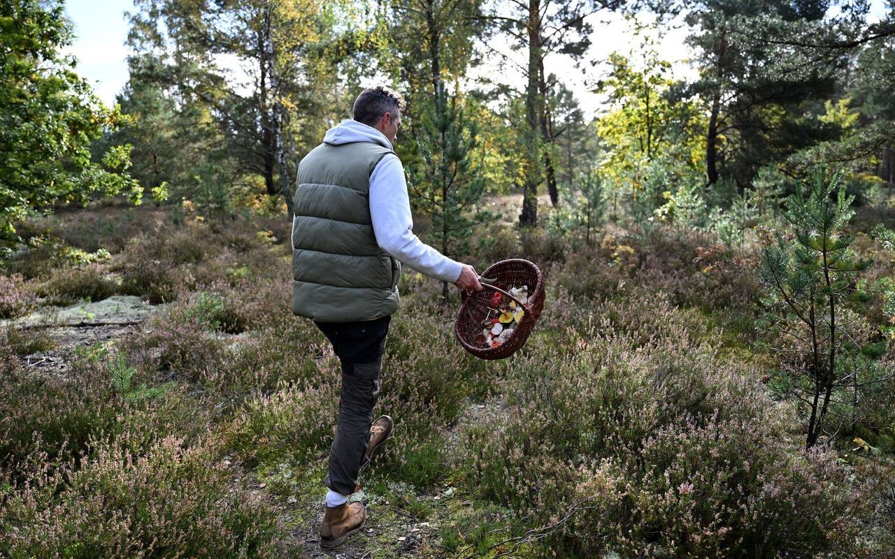 Mit einem Pilz-Influencer in den Pilzen