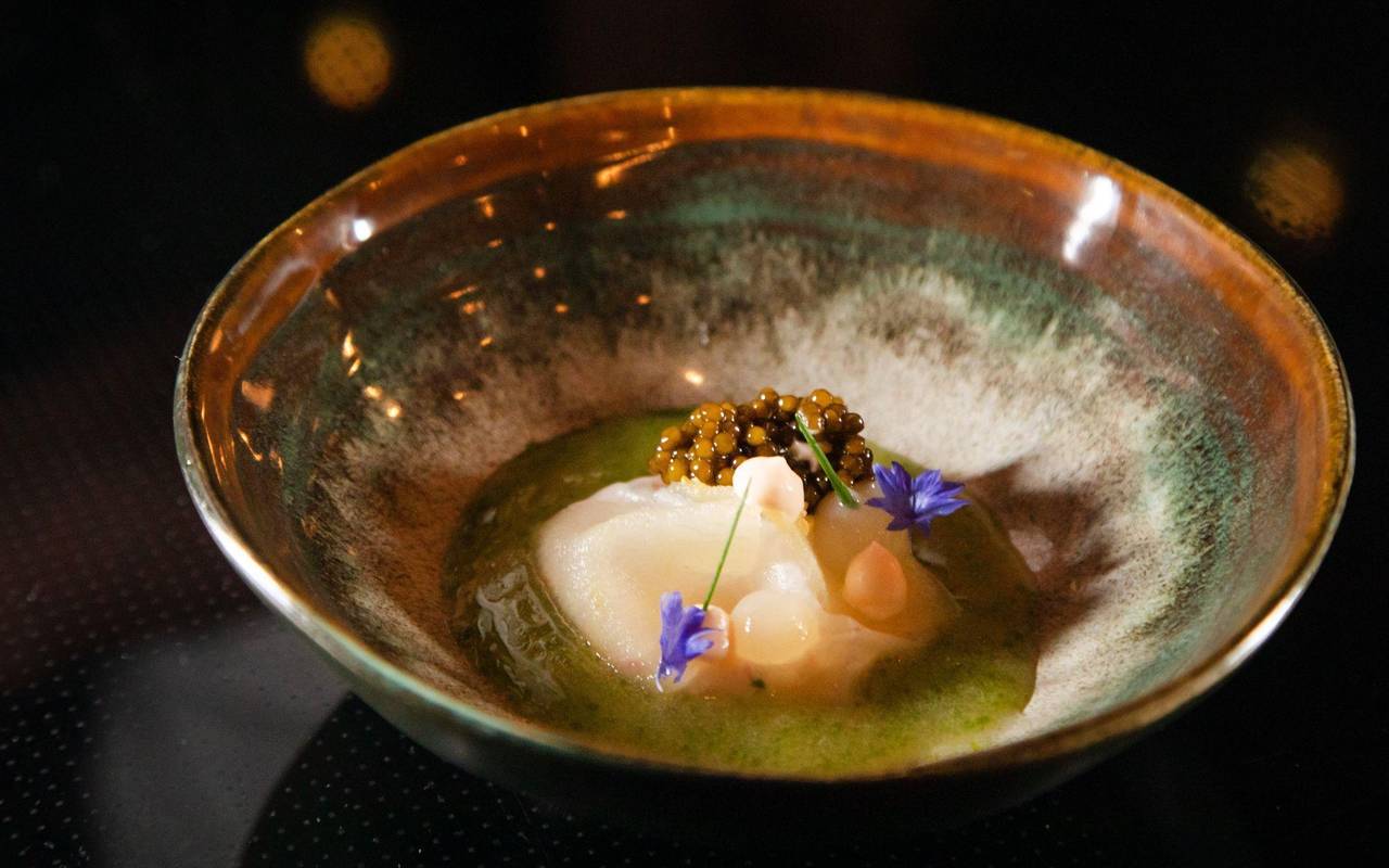 Schneekrabbe mit Staudensellerie- Vinaigrette