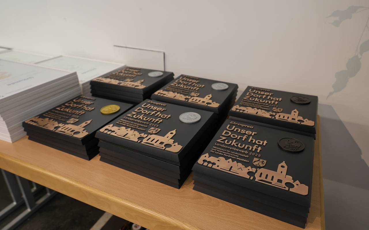 Die Plaketten für Unser Dorf hat Zukunft.