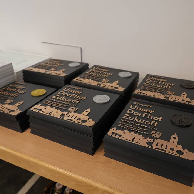 Die Plaketten für Unser Dorf hat Zukunft.