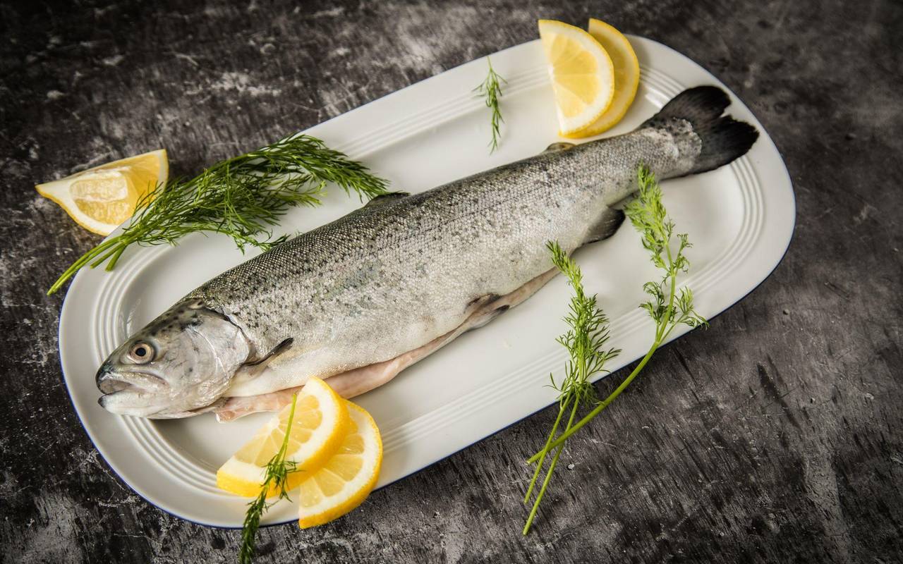 Eine Forelle auf einem Teller