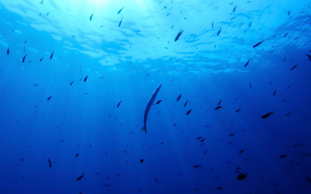 UN-Hochseeschutzabkommen