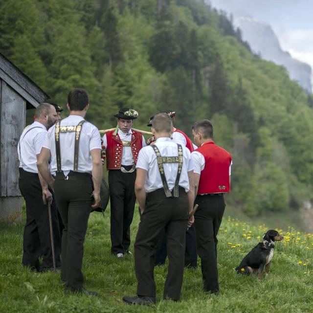 Die Kunst des Jodelns