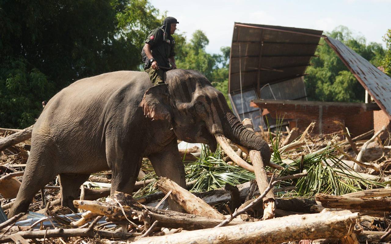 Überschwemmungen in Indonesien