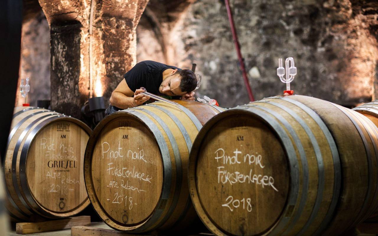 Sektgärung im Weingut