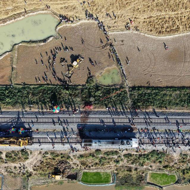 Elefanten sterben in Indien bei Kollision mit Zug