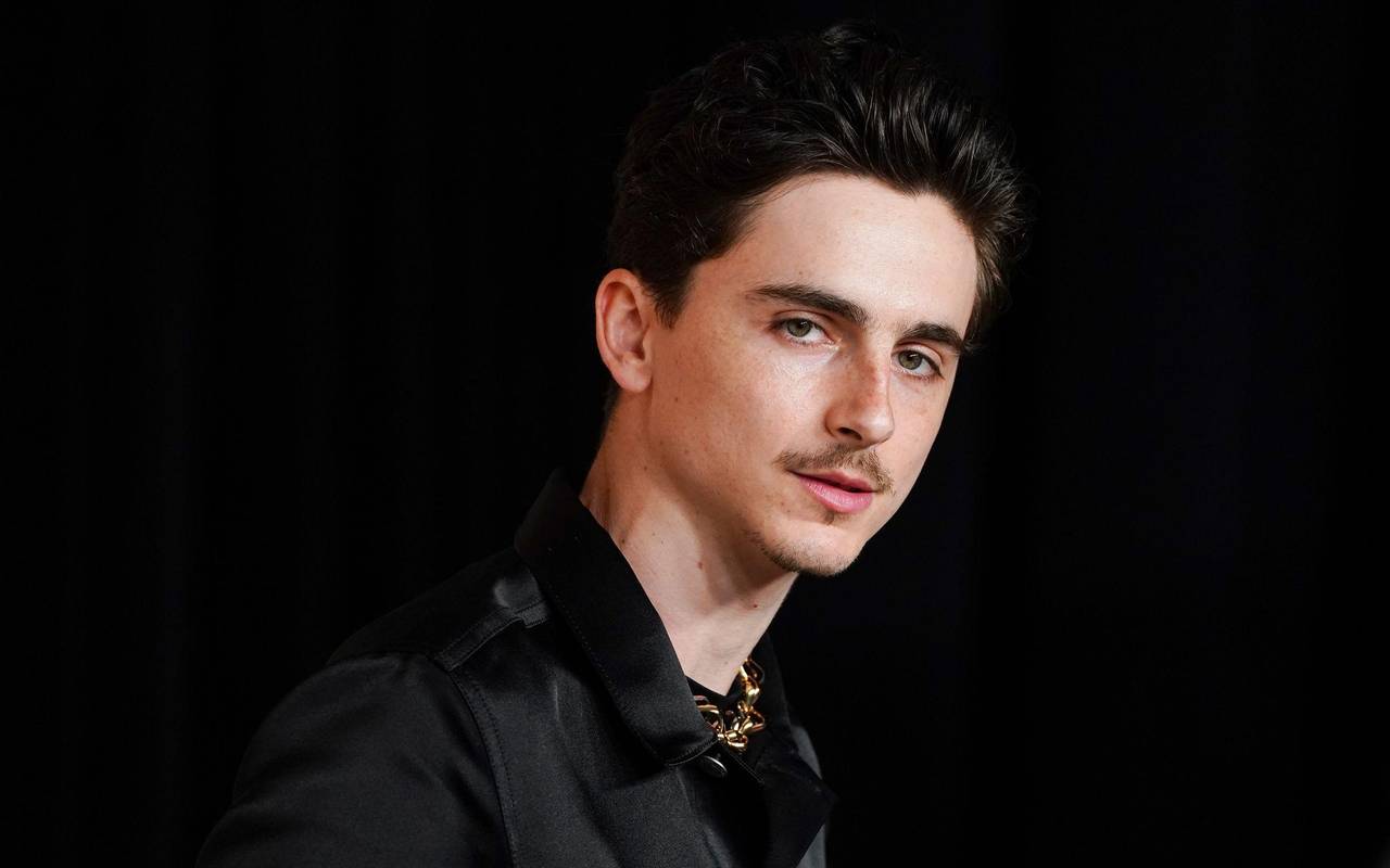 Timothée Chalamet