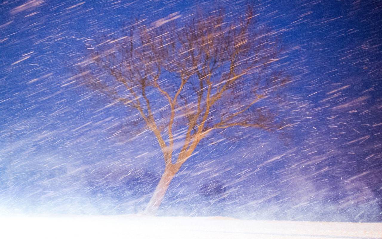 Starker Schneefall wirbelt bei Windböen über eine Landstraße