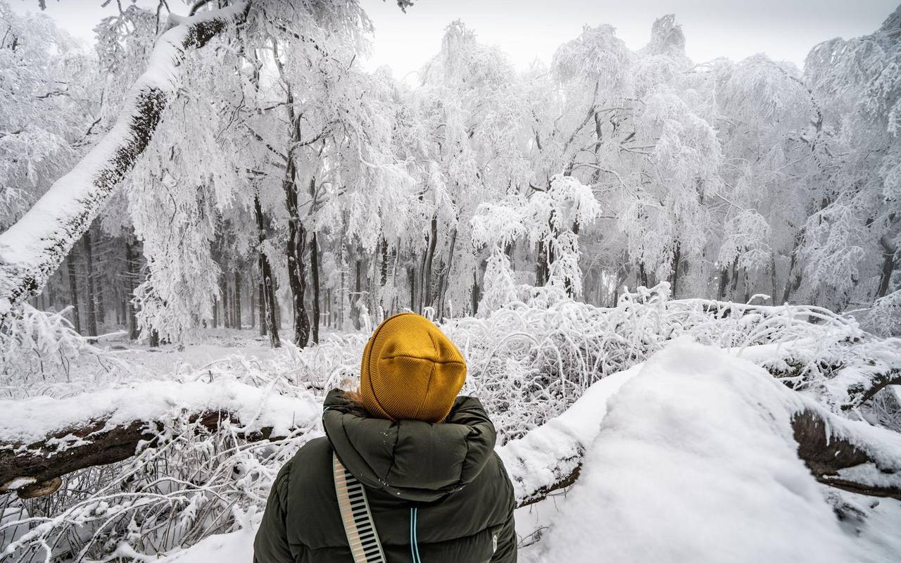 Eine Frau steht vor verschneiten Bäumen