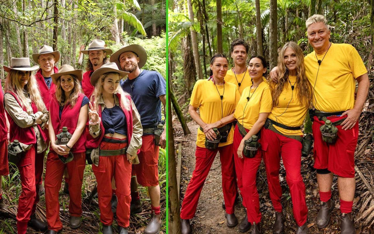 Ich bin ein Star - Holt mich hier raus! - Folge 1