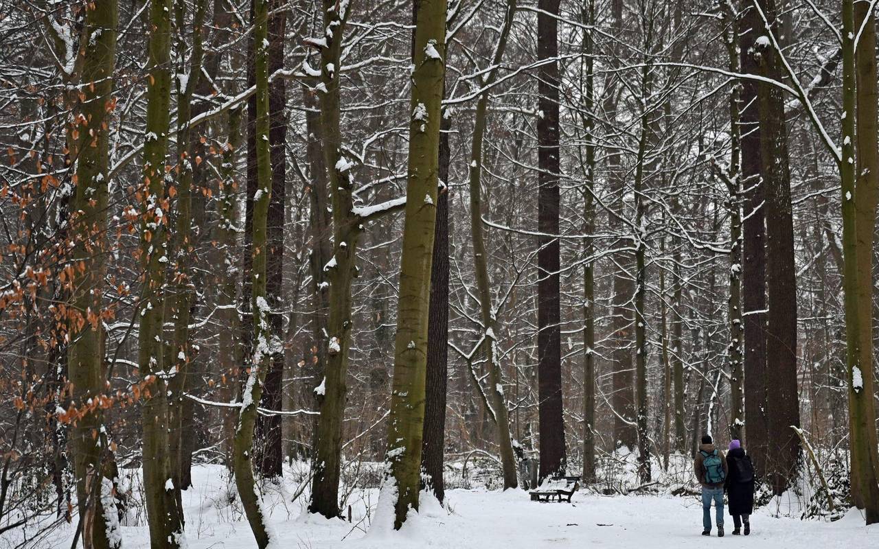 Winterwetter in Deutschland - Hannover