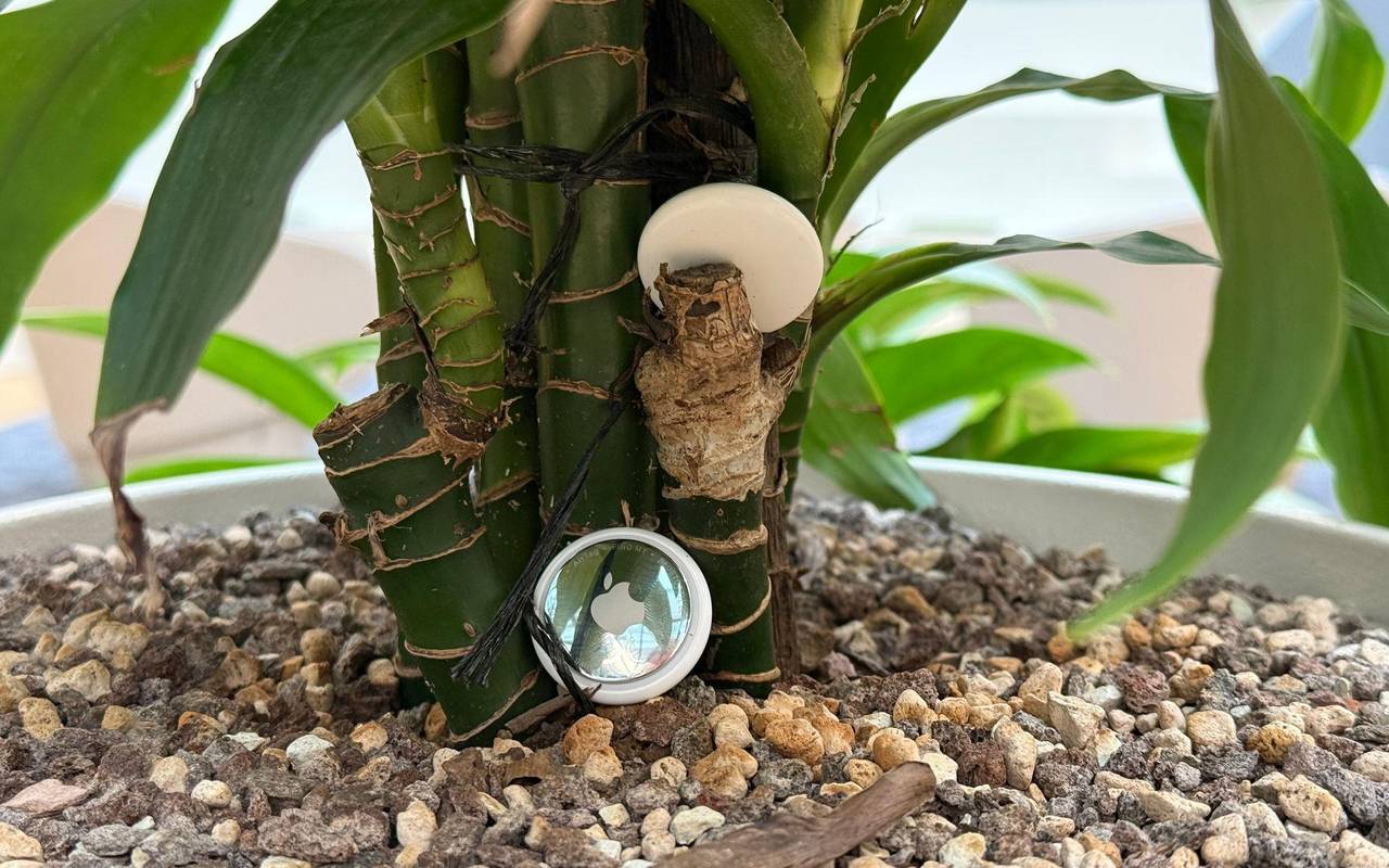 Zwei Airtags liegen in einem Pflanzenkübel