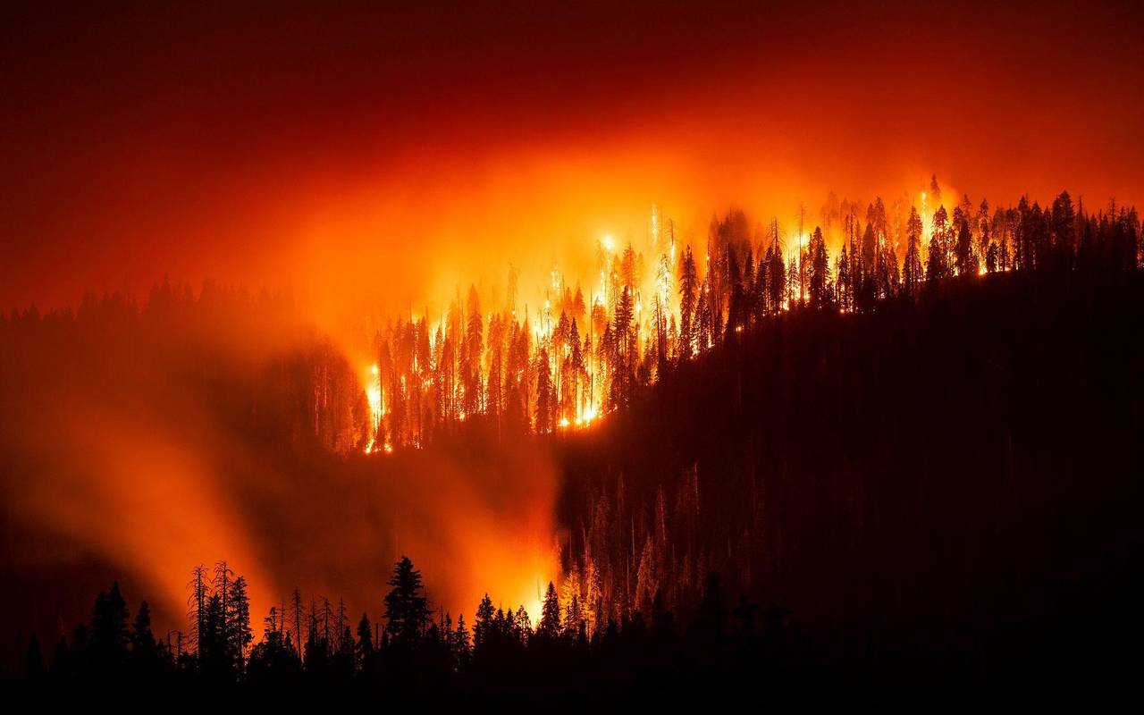 Waldbrand in Kalifornien