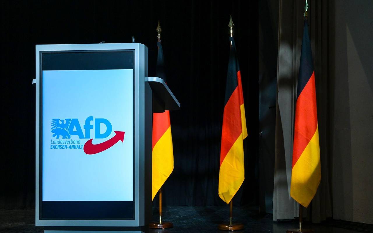 AfD Sachsen-Anhalt