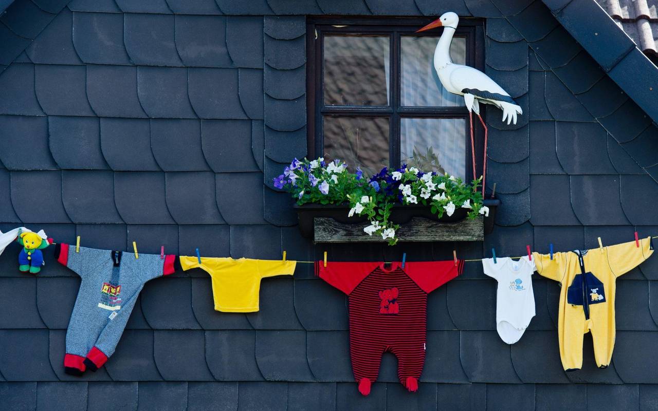 Klapperstorch bringt Nachwuchs