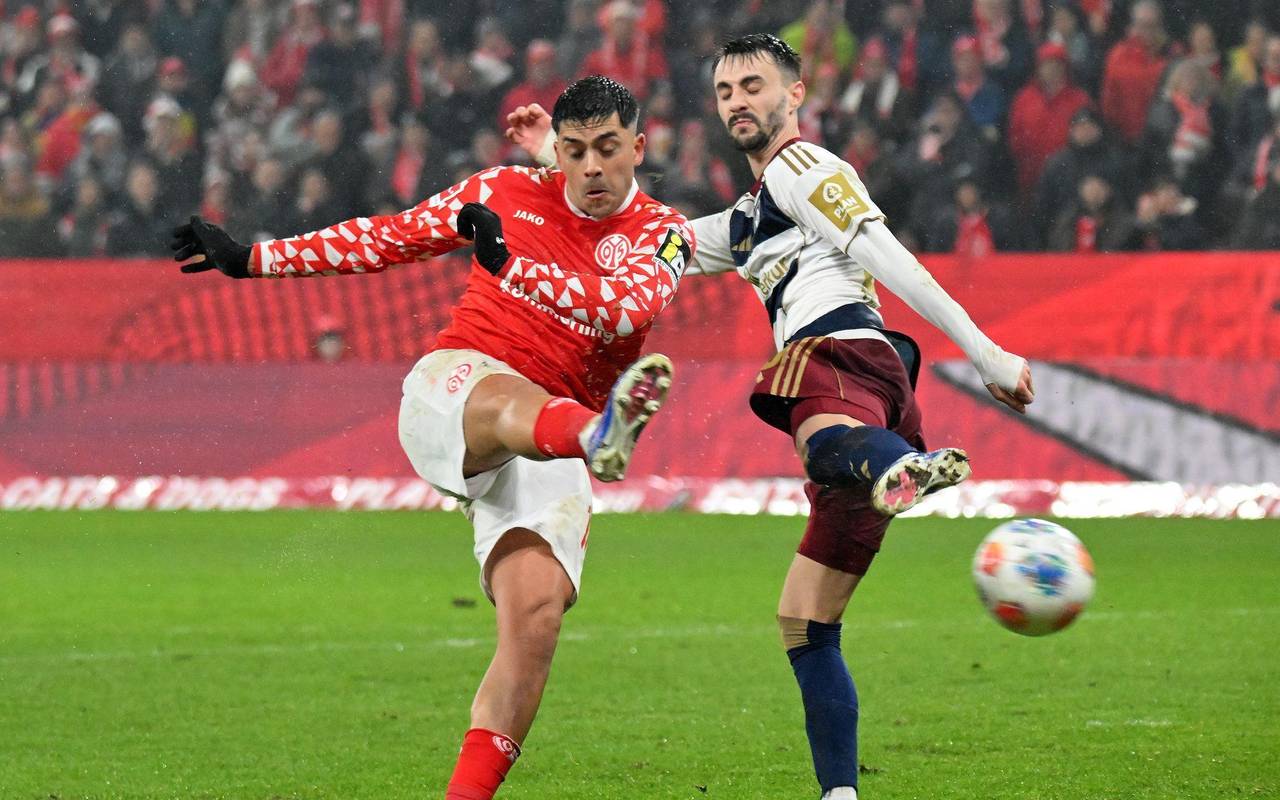 FSV Mainz 05 - Hamburger SV