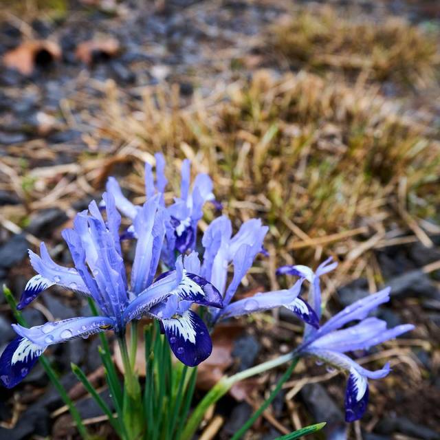 Wetter aus Rheinland-Pfalz
