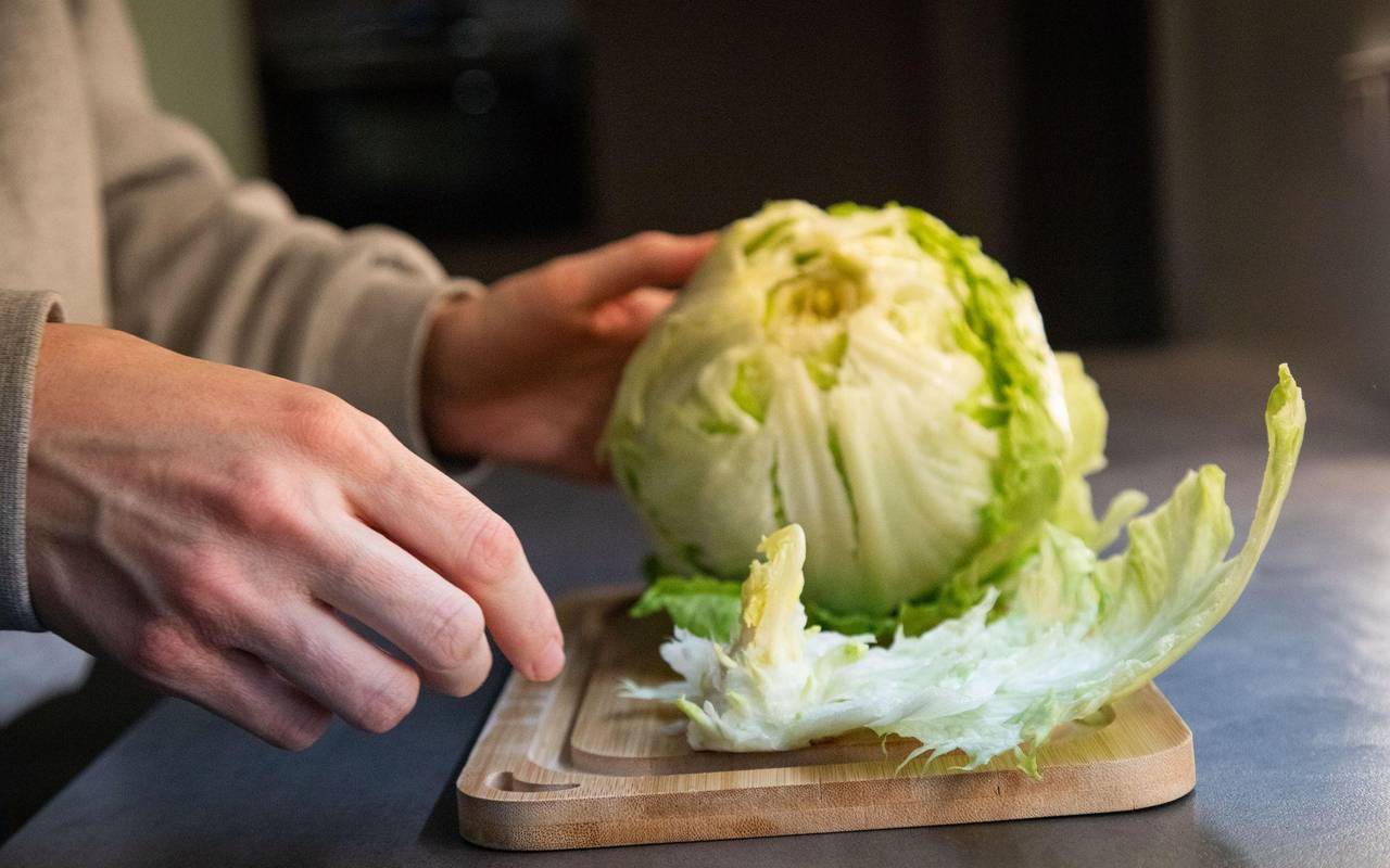 Frau entfernt den Strunk an einem Salatkopf