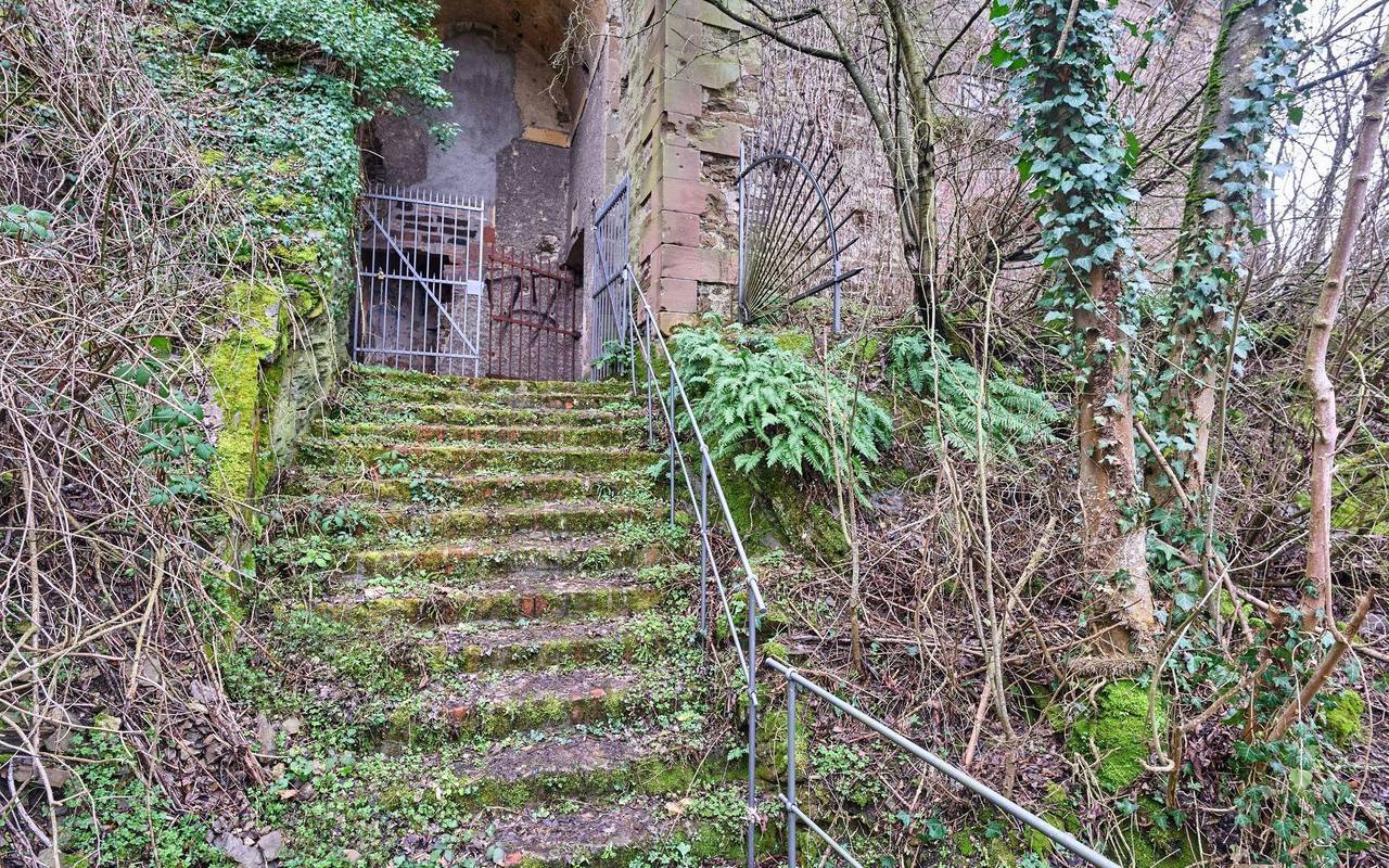 Cold Case Amy Lopez in Koblenz