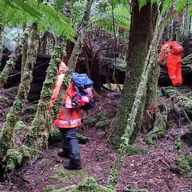 Vermisste belgische Backpackerin auf Tasmanien identifiziert