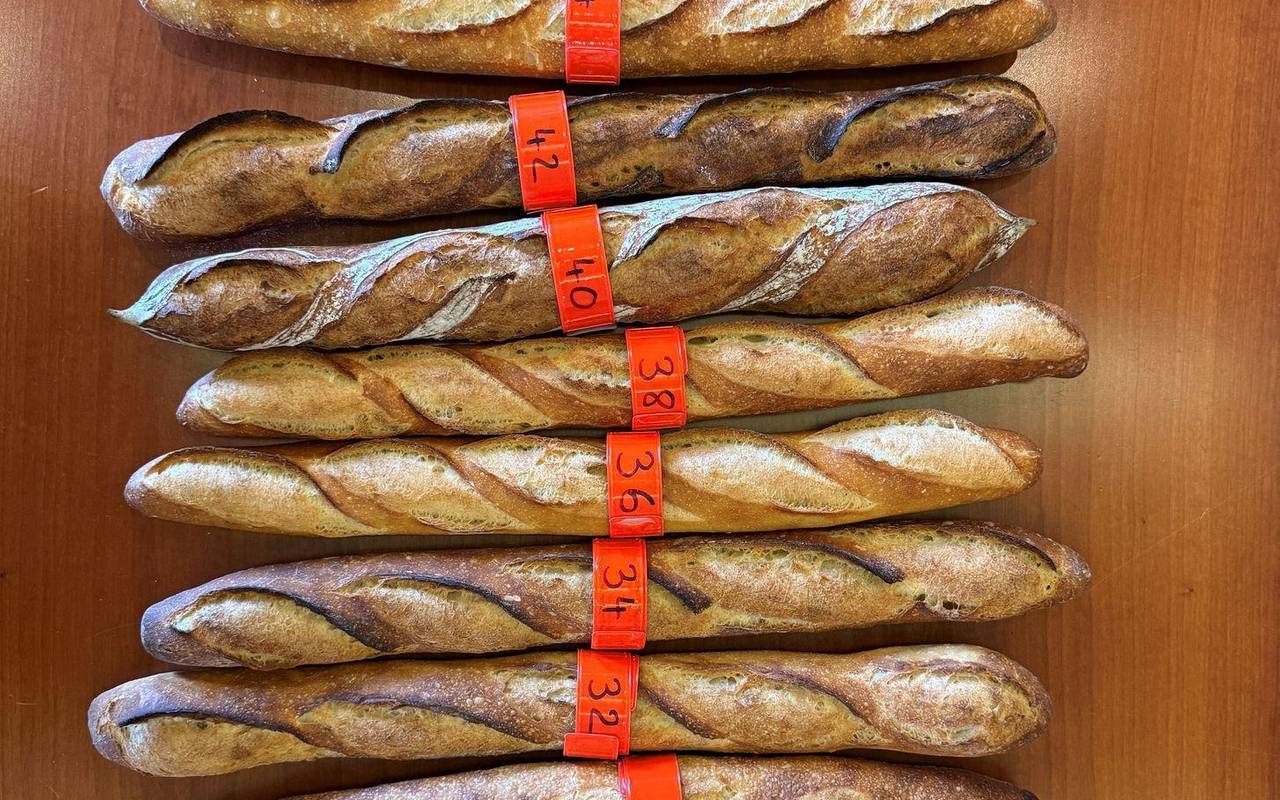 Baguette-Wettstreit in Paris - Sieger backt für den Élysée