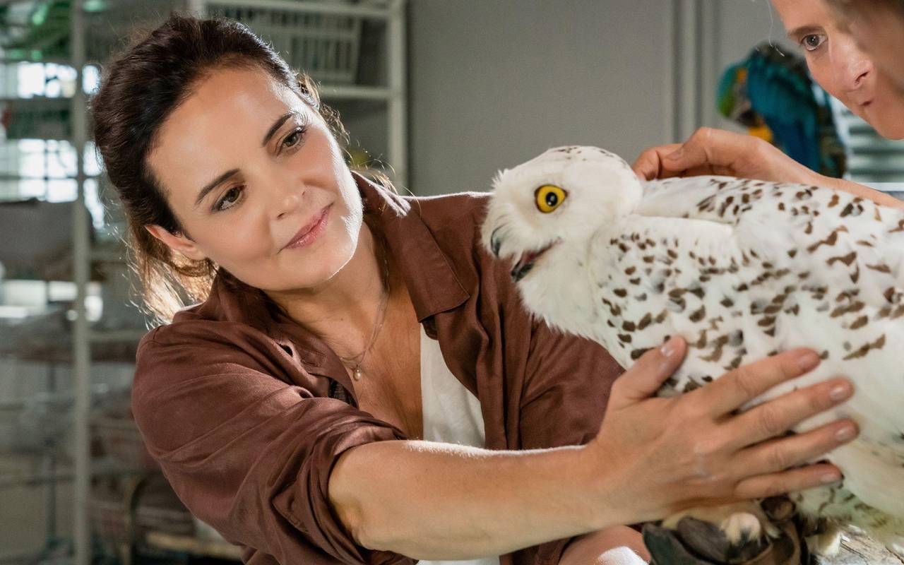 TV Ausblick - ARD - "Tierärztin Dr. Mertens"