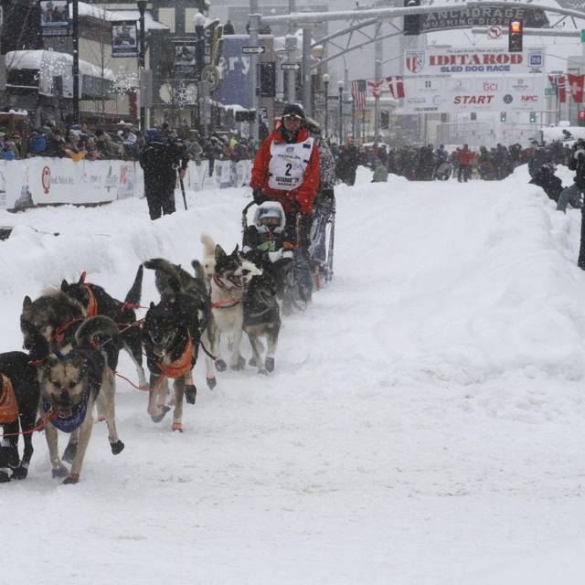 Schlittenhunderennen Iditarod