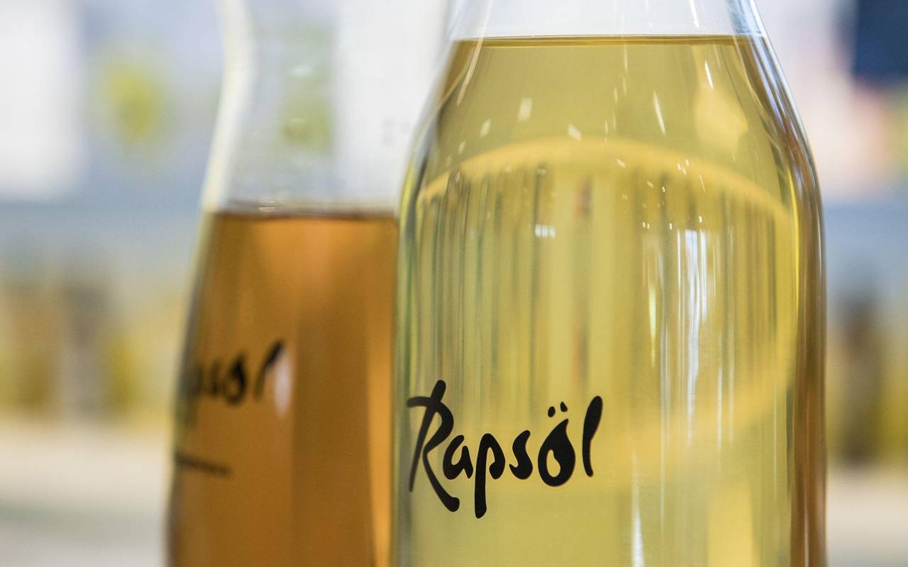 Rapsöl steht auf einem Tisch