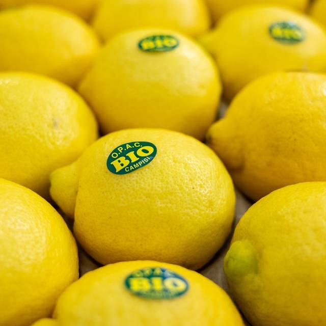 Zitronen auf der Biofach 2025