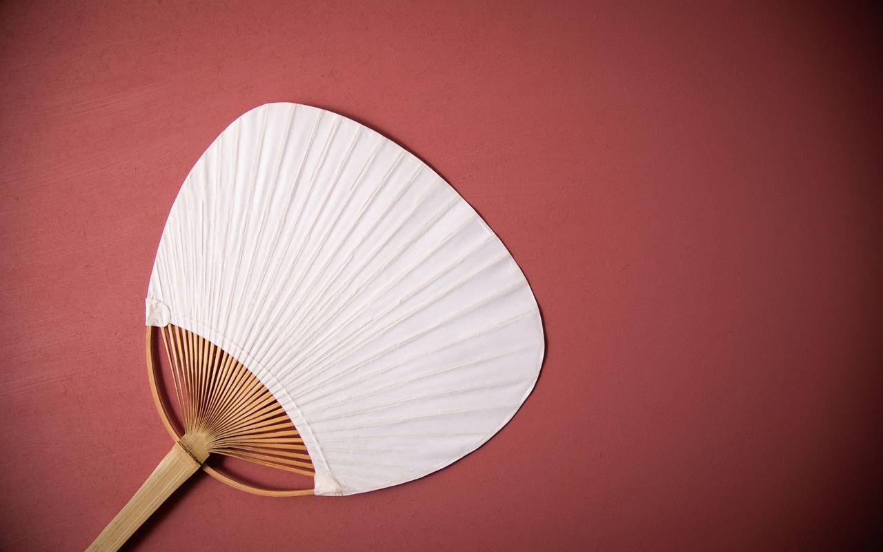 Handfächer liegt auf einem Tisch