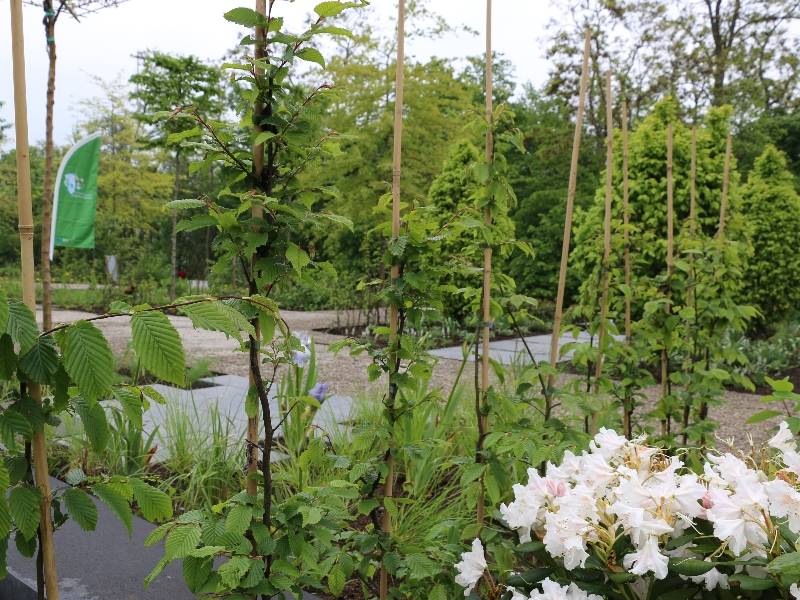 Bienenfreundliche im Seepark Zülpich Radio Euskirchen