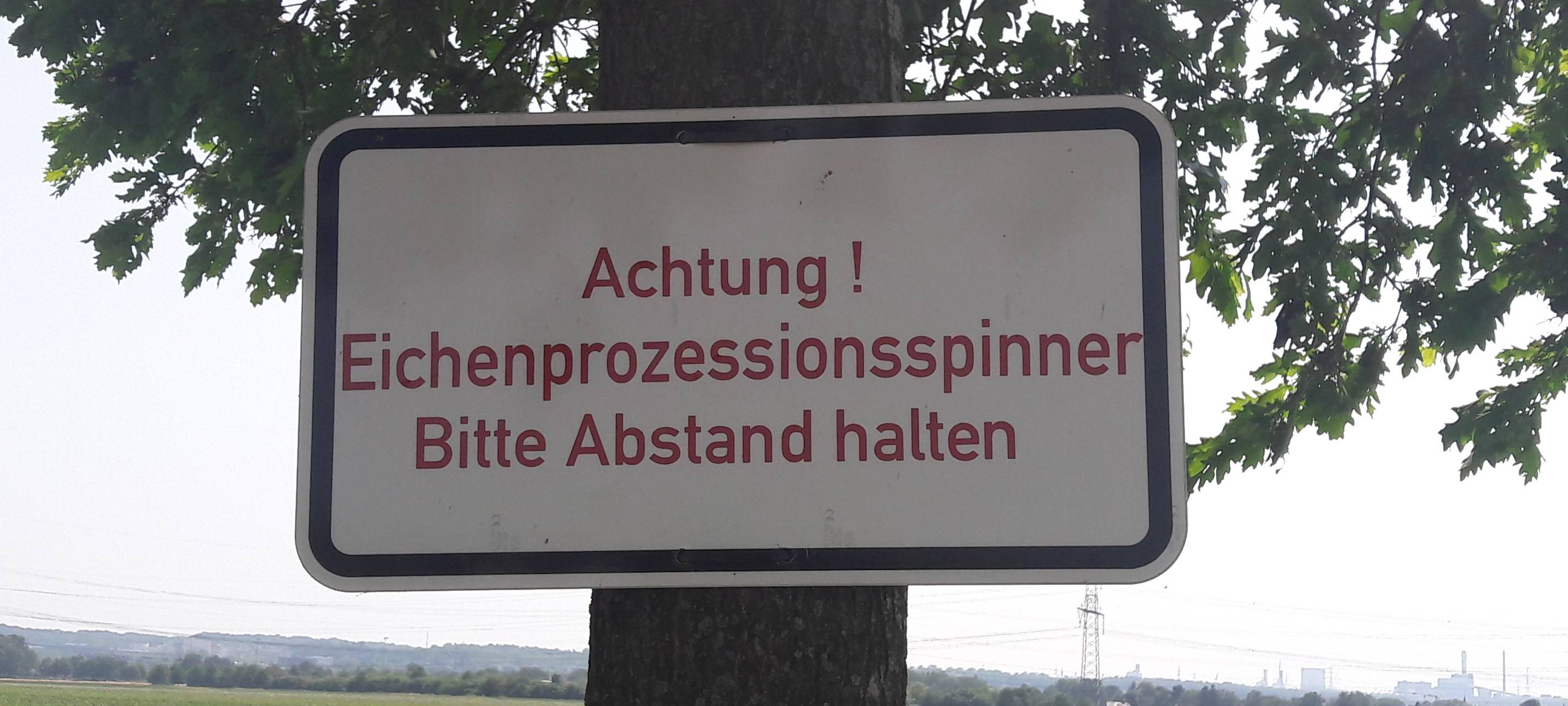 Zusammen gegen den Eichenprozessionsspinner