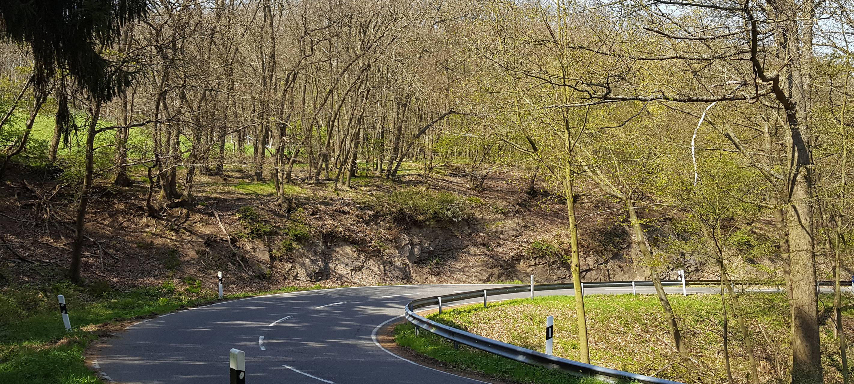 Vorsicht: Paarungszeit der Rehe