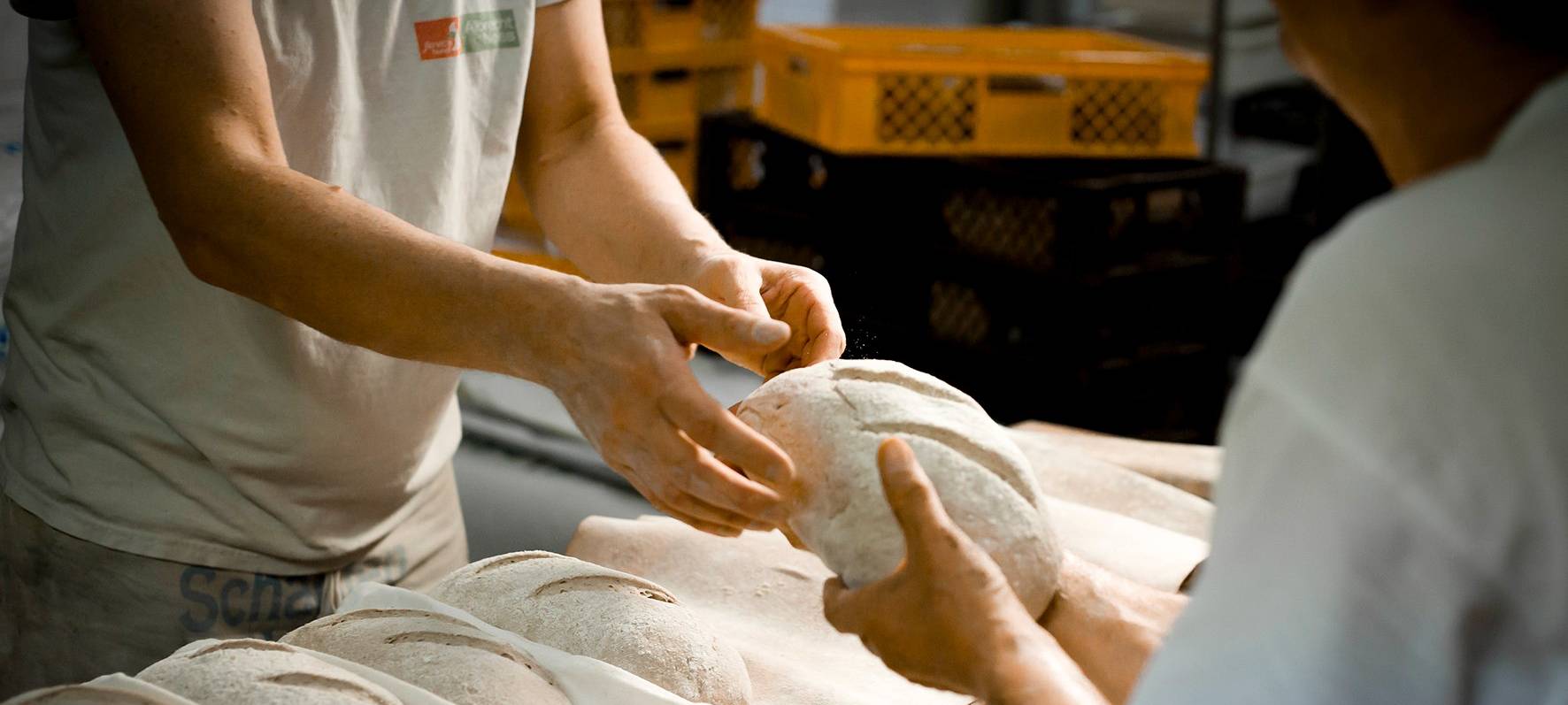 Landesehrenpreis geht an Bäckereien aus dem Kreis Euskirchen