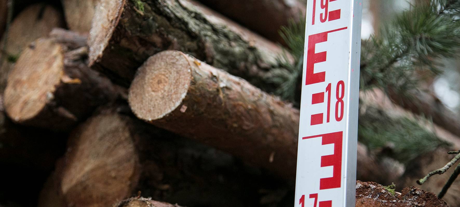 Viel zu schwerer Holztransporter in Hellenthal stillgelegt