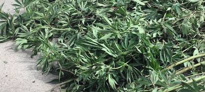 Weilerswist: Ermittlungsstand Drogenfund