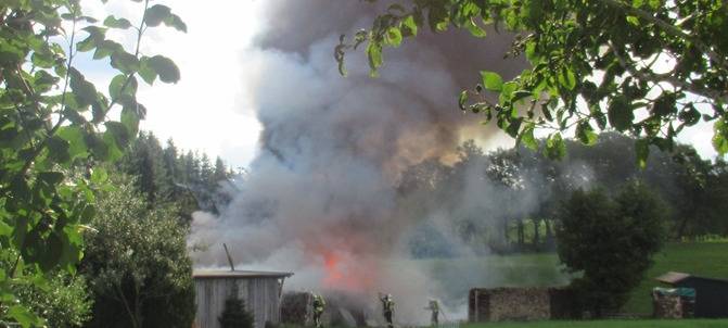 Bienenvölker sterben bei Feuer