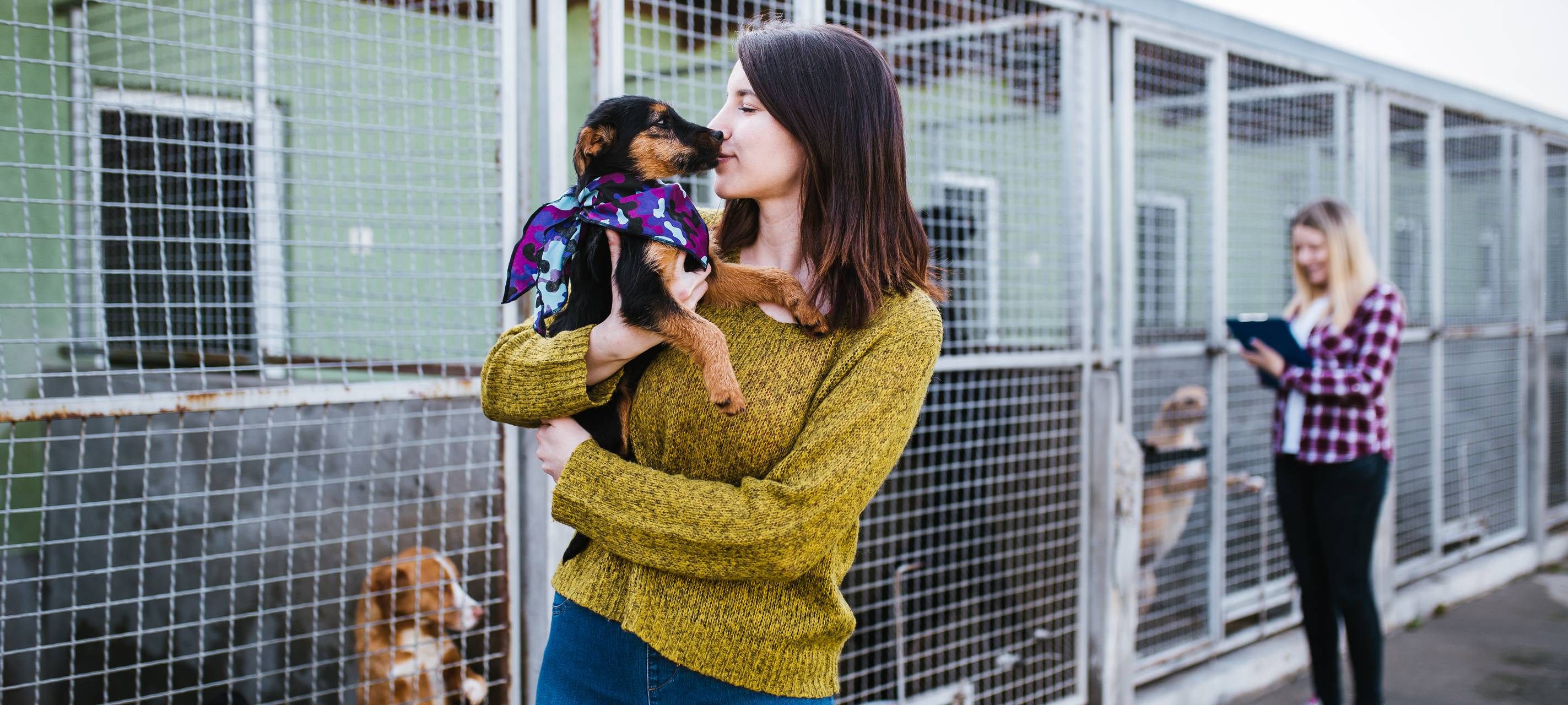 Mechernicher Tierheim fehlen die Einnahmen