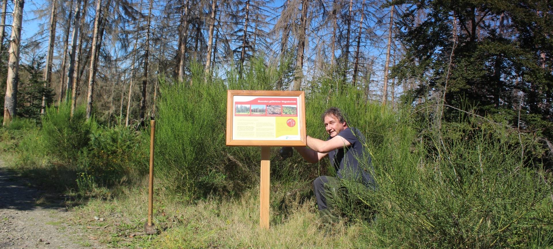 Nationalpark warnt vor Gefahren durch tote Bäume