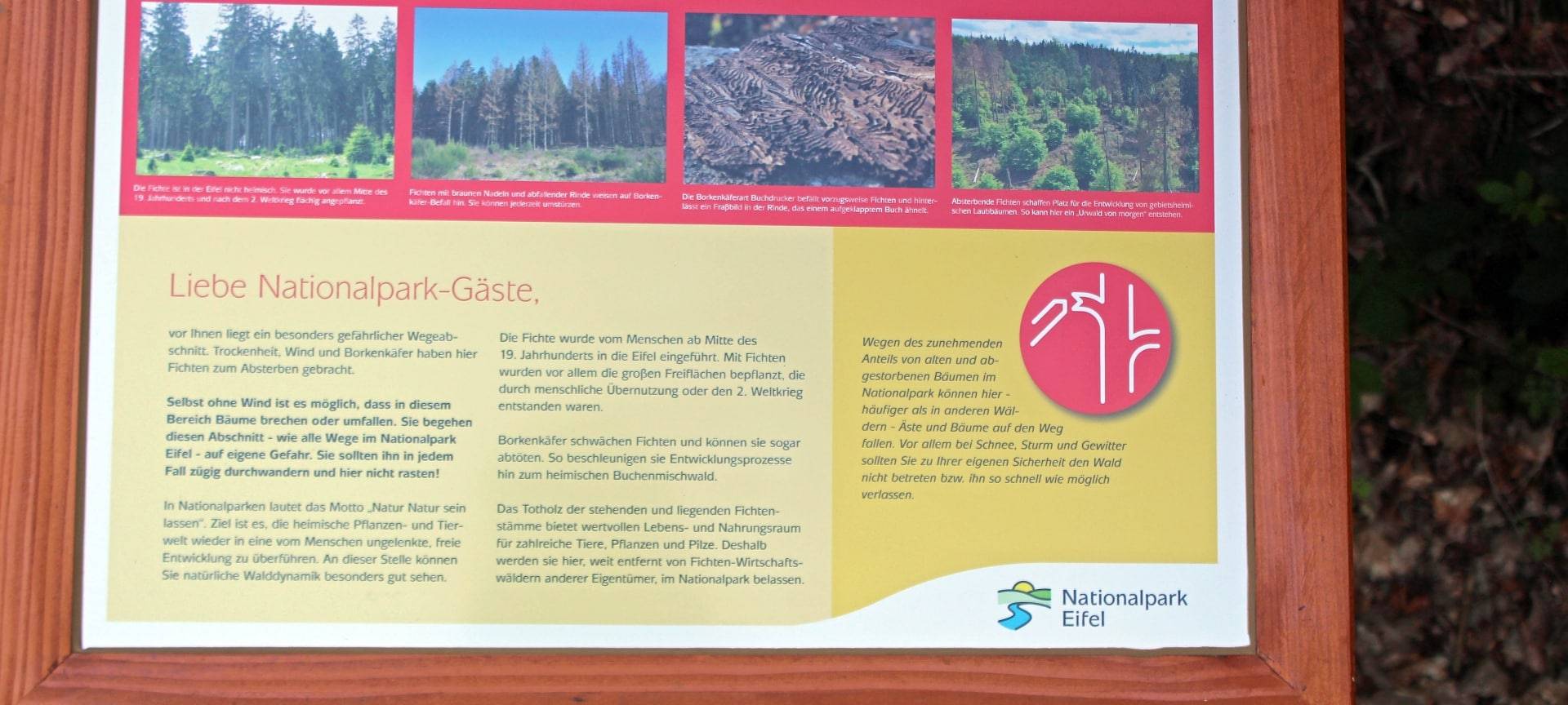 Nationalpark warnt vor Gefahren durch tote Bäume