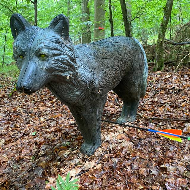 Homeschooling-Noten für die Eltern - Radio Euskirchen