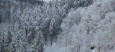 Starker Schneefall im Kreis Euskirchen