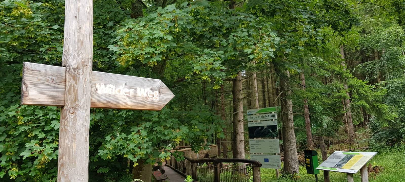 Viele Gäste in der Eifel - beliebte Ziele teilweise überfüllt