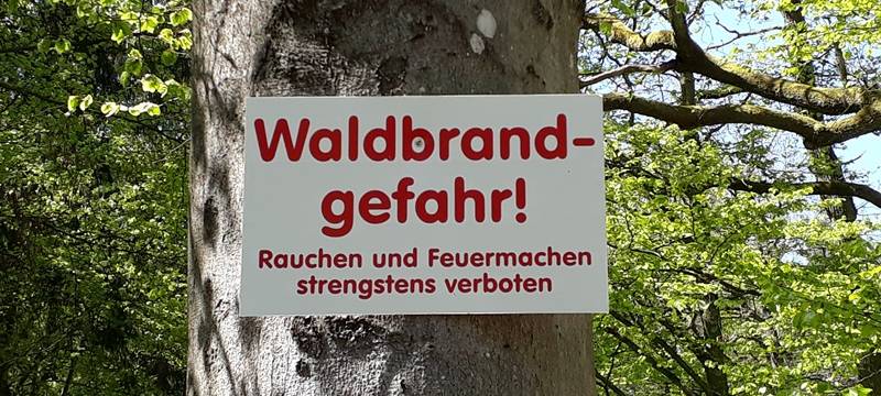 Trockene Wälder im Kreis Euskirchen