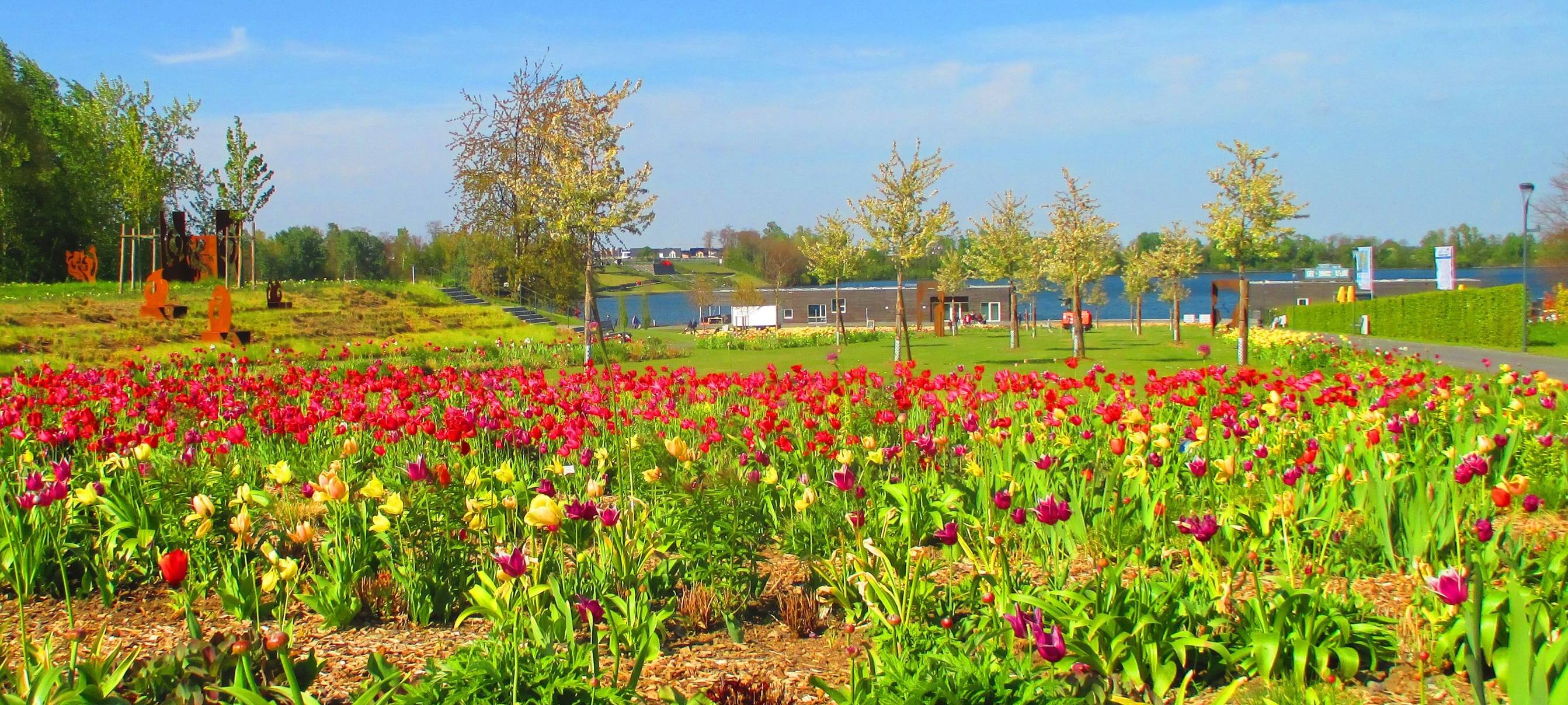 Dauerkarten-Vorverkaufsrekord am Seepark