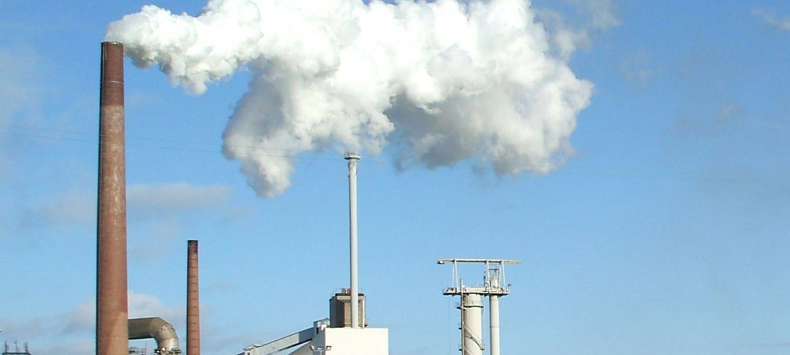 Rübenkampagne mit Plus beendet