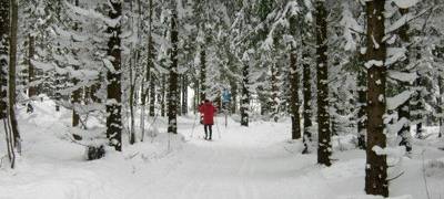 Hellenthal lädt zum Wintersport ein