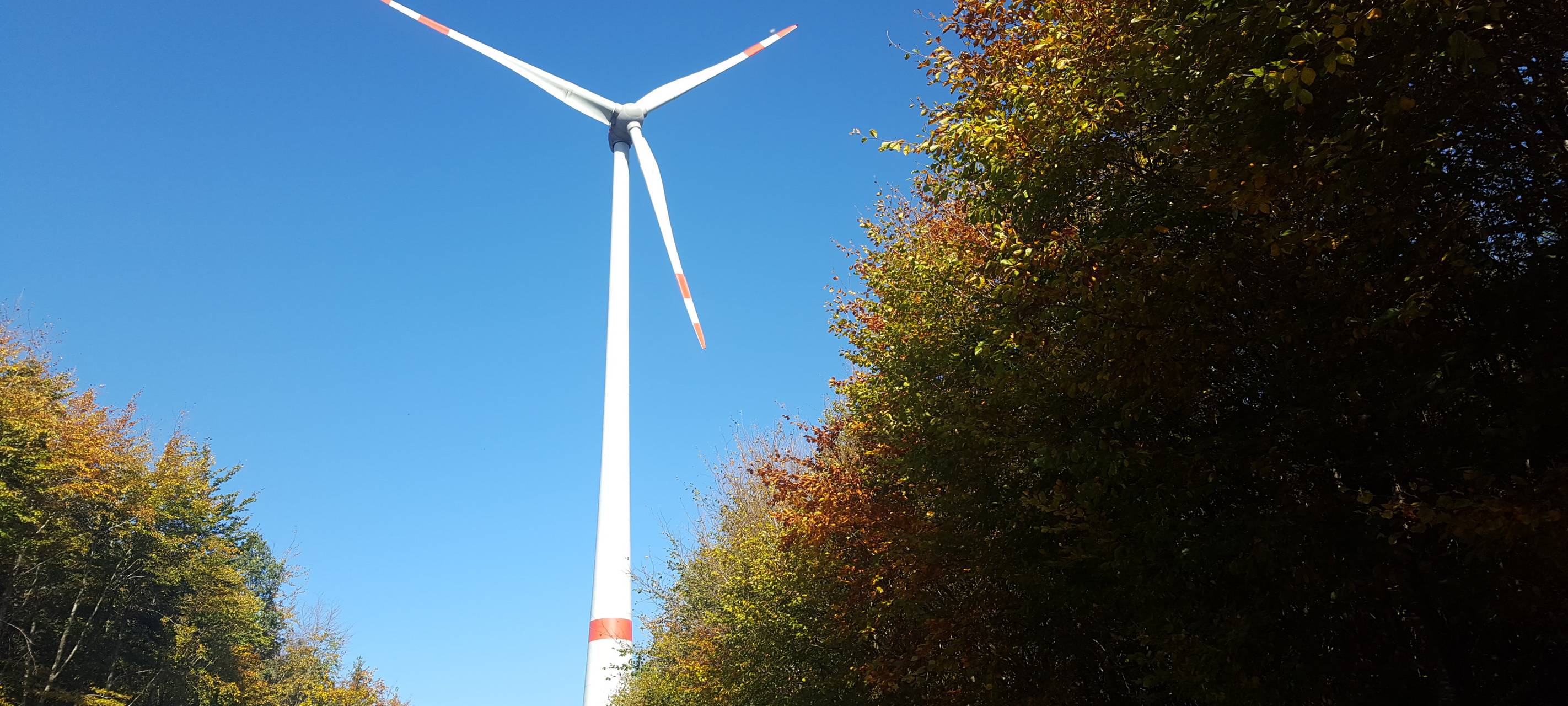 Geld verdienen mit Windenergie